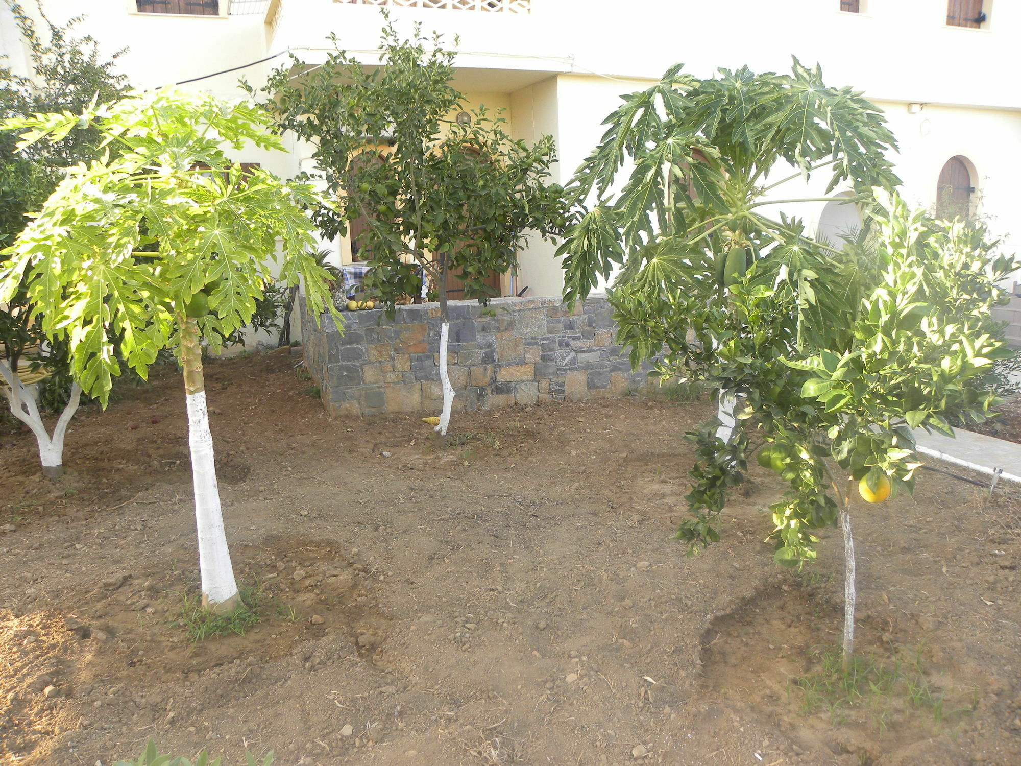 Villa Thalia Milatos Exterior photo